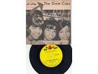 THE DIXIE CUPS ~ GEE THE MOON IS SHINING BRIGHT* PS & 7" Mini 33 !