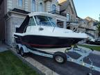 2019 Seaswirl Striper 20 Boat for Sale