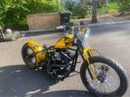 2009 Custom Built Motorcycles Chopper