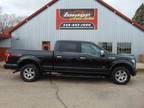 2015 Ford F-150 Crew Platinum - Alexandria,Minnesota