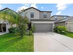 7419 Clary Sage Ave, Tampa, FL 33619