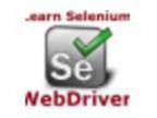 Learn Java JUnit TestNg and Selenium WebDriver acirc Week Boo