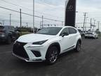 2019 Lexus NX 300 F SPORT