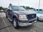 2004 Ford F-150