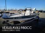 19 foot Vexus Avx1980cc
