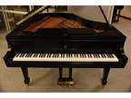Steinway Grand M 1995 for Sale - Opportunity!