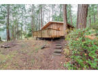 Cozy little cabin nestled amongst fir and cedar trees