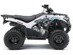 2023 Kawasaki Brute Force 300