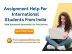 Professionals Assignment Help From India For Students