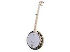 Deering Goodtime Two 5-String Banjo with Resonator - Opportunity!