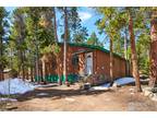 692 W Pine St, Nederland, CO 80466