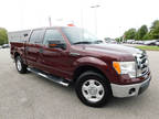 2010 Ford F-150 XLT