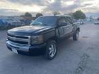 2009 Chevrolet Silverado 1500