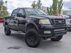 2004 Ford F-150