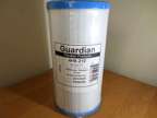 Guardian Pool Filter 4H8-210 Replaces 4CH935