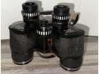 Revue De Luxe Vergutete Optie 10x40 Binoculars /Read Details
