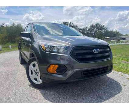 2019 Ford Escape for sale is a Grey 2019 Ford Escape Car for Sale in Tampa FL