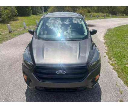 2019 Ford Escape for sale is a Grey 2019 Ford Escape Car for Sale in Tampa FL