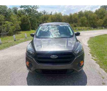 2019 Ford Escape for sale is a Grey 2019 Ford Escape Car for Sale in Tampa FL