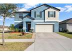 10022 Rose Petal Pl, Riverview, FL 33578