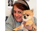 Weaver Pet Sitting: Experienced Pet Sitter for $25/Day - Trustworthy Care for