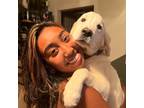 Oviedo, Florida Pet Sitter: $15.0/hr, Reliable, Loving Care for Your Pet!