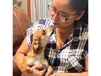 Hidalgo Pet Sitter offering Loving Care for Your Furry Friend at Affordable