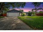 1317 Borden Ct, Valrico, FL 33594