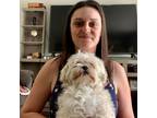 Cambridge, Ontario Doggy Daycare - $40/day - Experienced
