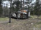 820 Cabin Creek Rd, Allenspark, CO 80510