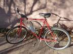 Bike.Trek Antelope 820
