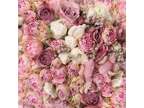 6x8ft Pink Rose Floral Wedding Backdrop Bridal Shower