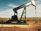 Business For Sale: Oil Wells With Millions Of Barrels Of Oil In Place
