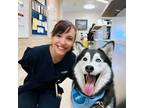 Recent nursing graduate who is also a big dog-lover. Would love to help you and