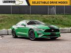 2019 Ford Mustang GT 5.0L Auto 301A