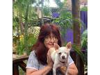 Experienced Pet Sitter in Spring Hill, FL and surrounding areas $20/day TLC for