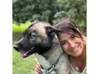 Miami Lakes Pet Sitter: $50/Day / $75 overnight- Love for Animals