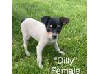 Dilly