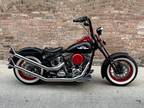 2009 Harley-Davidson Thunder Mountain NASCAR 60th Special Edition