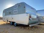 1966 Vintage FAN travel trailer