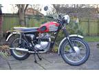 Triumph Speed Twin 500cc Motorcycle Built Like a Tiger 100