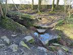 Hagg Wood, Rivelin Valley, Sheffield Land for sale -