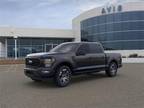 2023 Ford F-150 Black, 11 miles