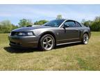 2004 Ford Mustang GT Deluxe Coupe