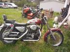 1982 Harley-Davidson Sportster ironhead 1982 harley-davidson