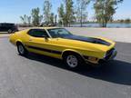 1973 Ford Mustang Mach I Clone