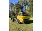 1973 Chevrolet Flatbed Yellow 427 gas engine