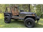 1995 Jeep Wrangler gray