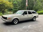 1976 AMC Hornet Gray