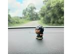 NFL Pipsqueak Jacksonville Jaguars car dashboard buddy all teams available on